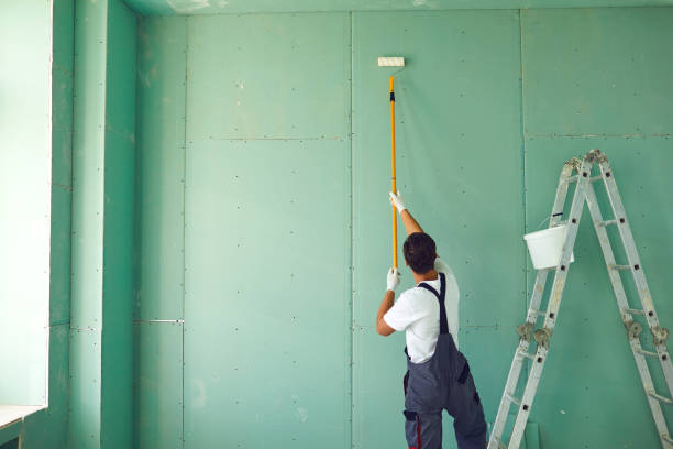 Best Basement Mold Removal  in Aurora, IN