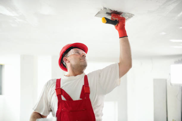 Best Water Damage & Mold Remediation  in Aurora, IN